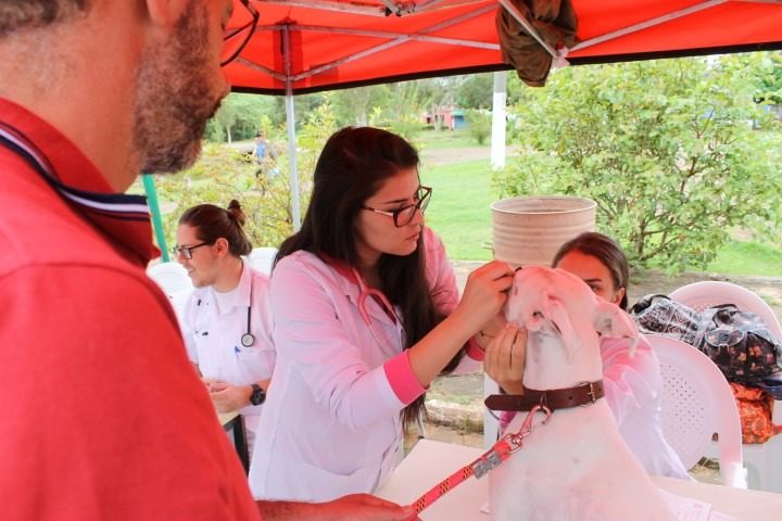 Parque Centenário  recebe 2ª edição de consultas veterinárias gratuitas