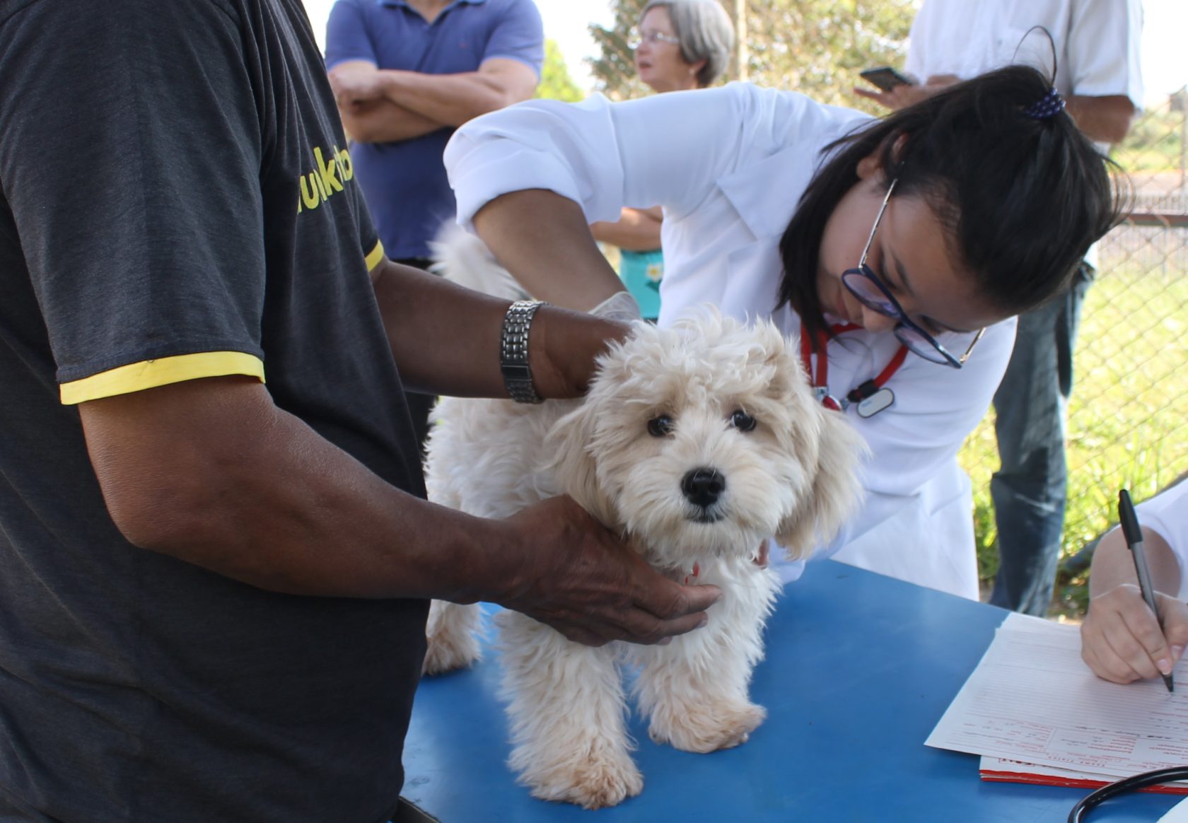 Prefeitura de Itararé (SP), em parceria com a FAIT, promove atendimento veterinário gratuito a mais de 100 cães e gatos