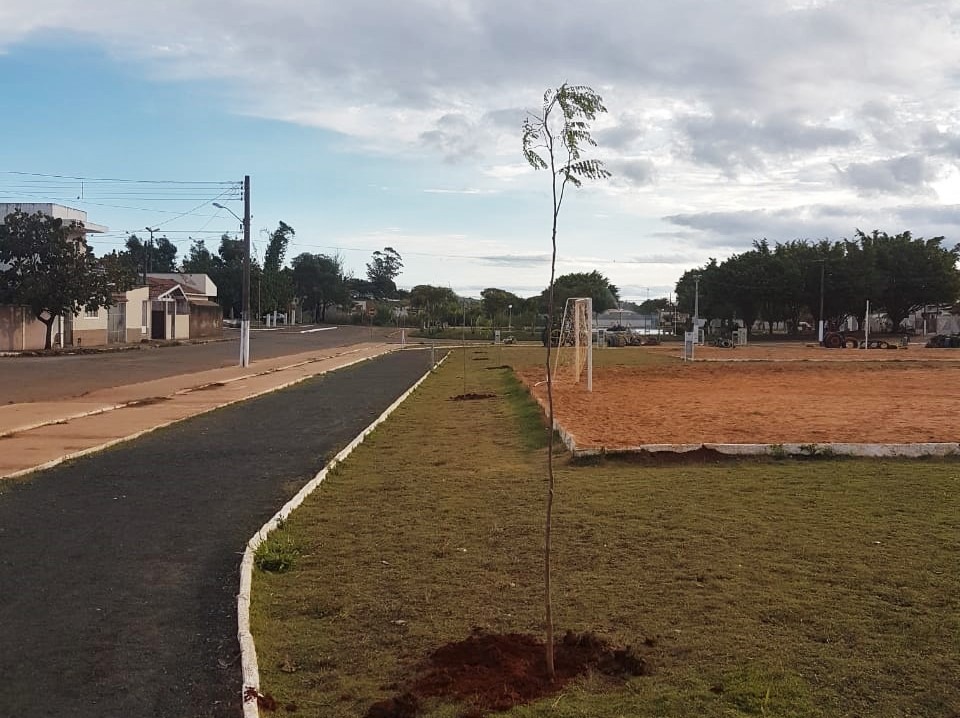 Gestão Heliton do Valle dá início a projeto pioneiro de arborização urbana em Itararé (SP)