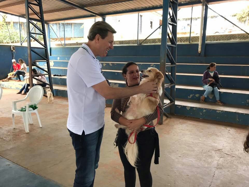 Prefeitura de Itararé (SP) é solidária aos animais em situação de abandono