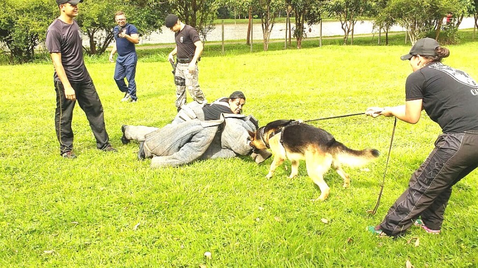 Agentes da GCM participam de curso de obediência canina e proteção
