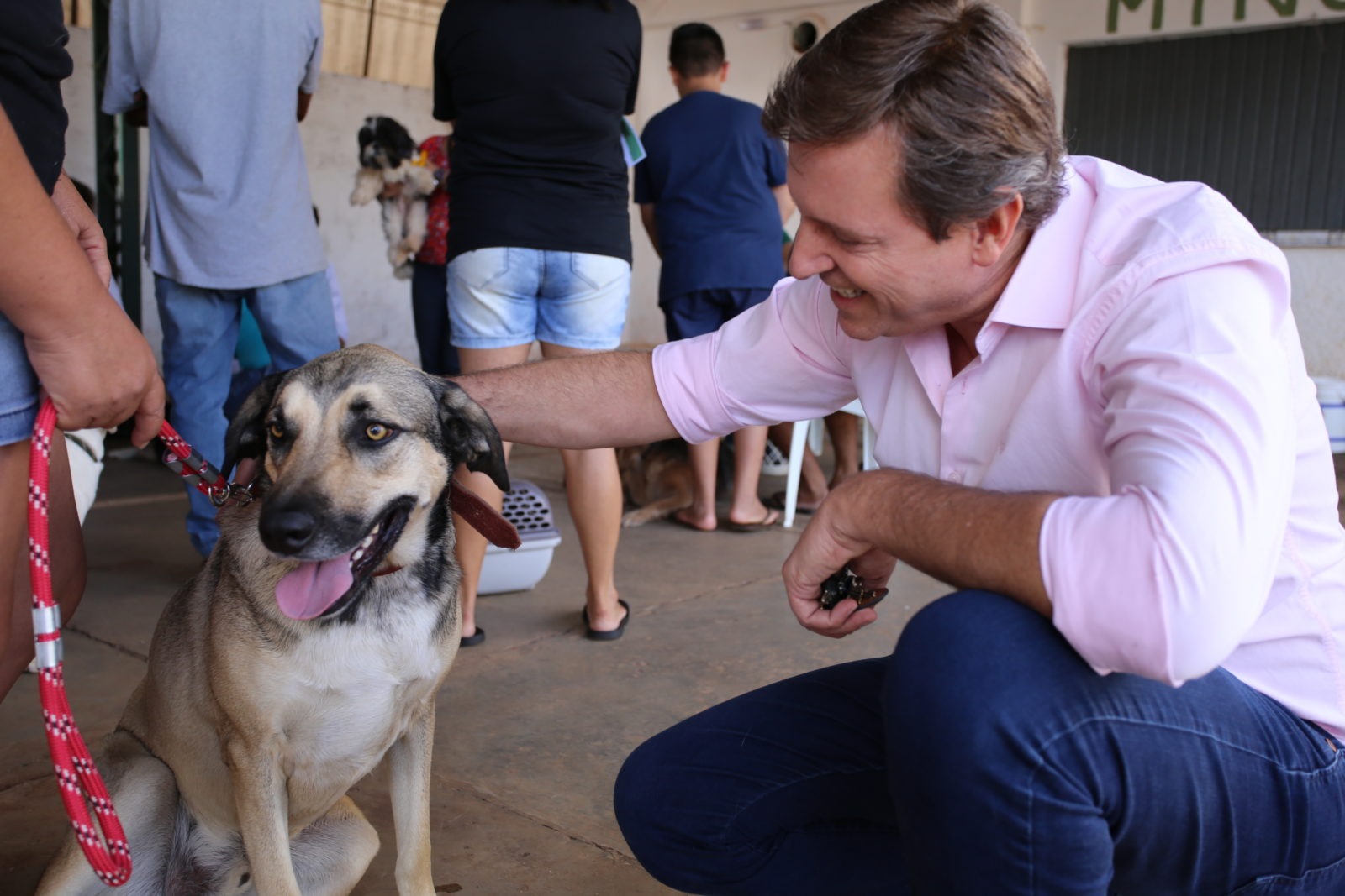 Prefeitura de Itararé (SP) realiza consulta gratuita para animais domésticos