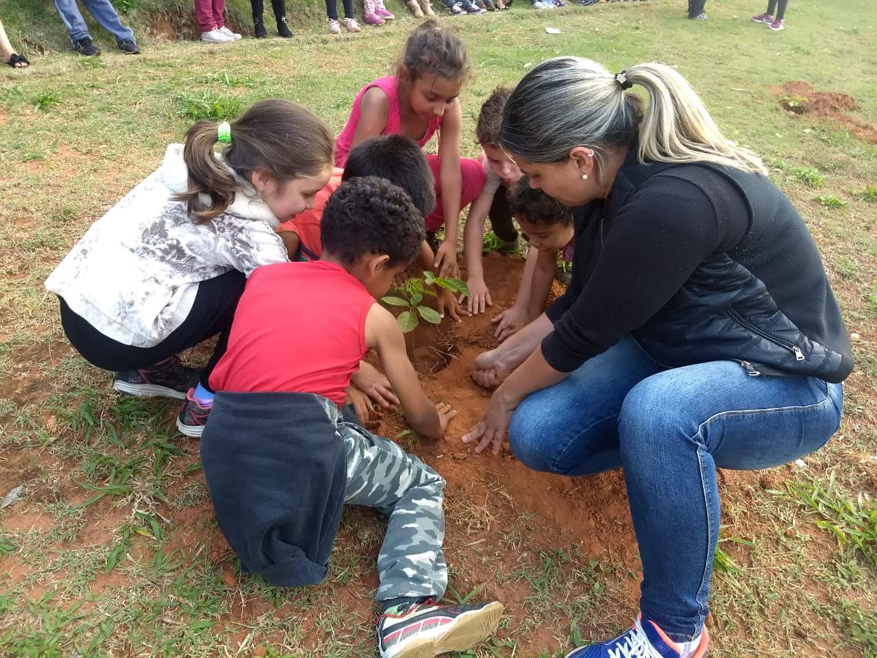 Alunos da Rede Municipal de Ensino de Itararé (SP) plantam mudas de árvore