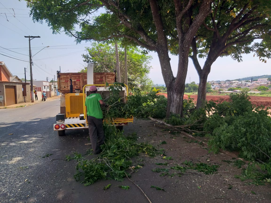 Prefeitura de Itararé (SP) realiza poda de árvores
