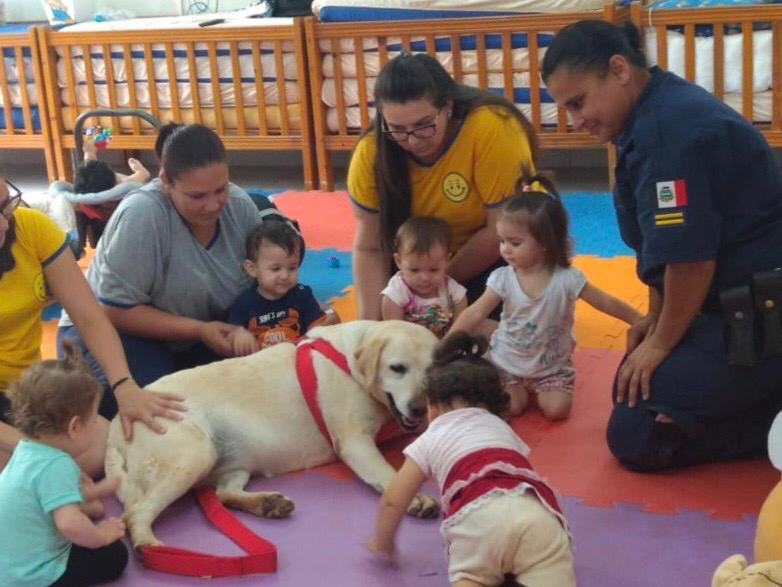 GCM de Itararé (SP) desenvolve projeto inédito de terapia com cães