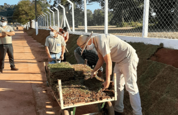 Prefeitura de Itararé (SP) continua plantio de mudas no município
