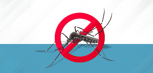 Dengue: Prefeitura de Itararé (SP) confirma dois novos casos da doença