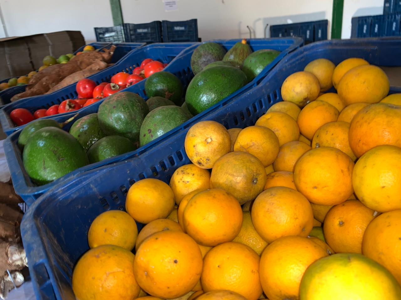 Prefeitura de Itararé (SP) inicia distribuição de kits de verduras a pessoas em situação de vulnerabilidade