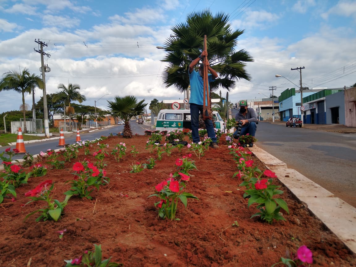 Prefeitura de Itararé (SP) planta 750 mudas de flores na entrada da cidade