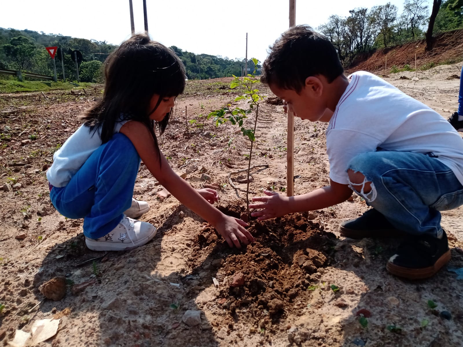 Em comemoração do Dia da Árvore, estudantes de Itararé (SP) realizam plantio de mudas