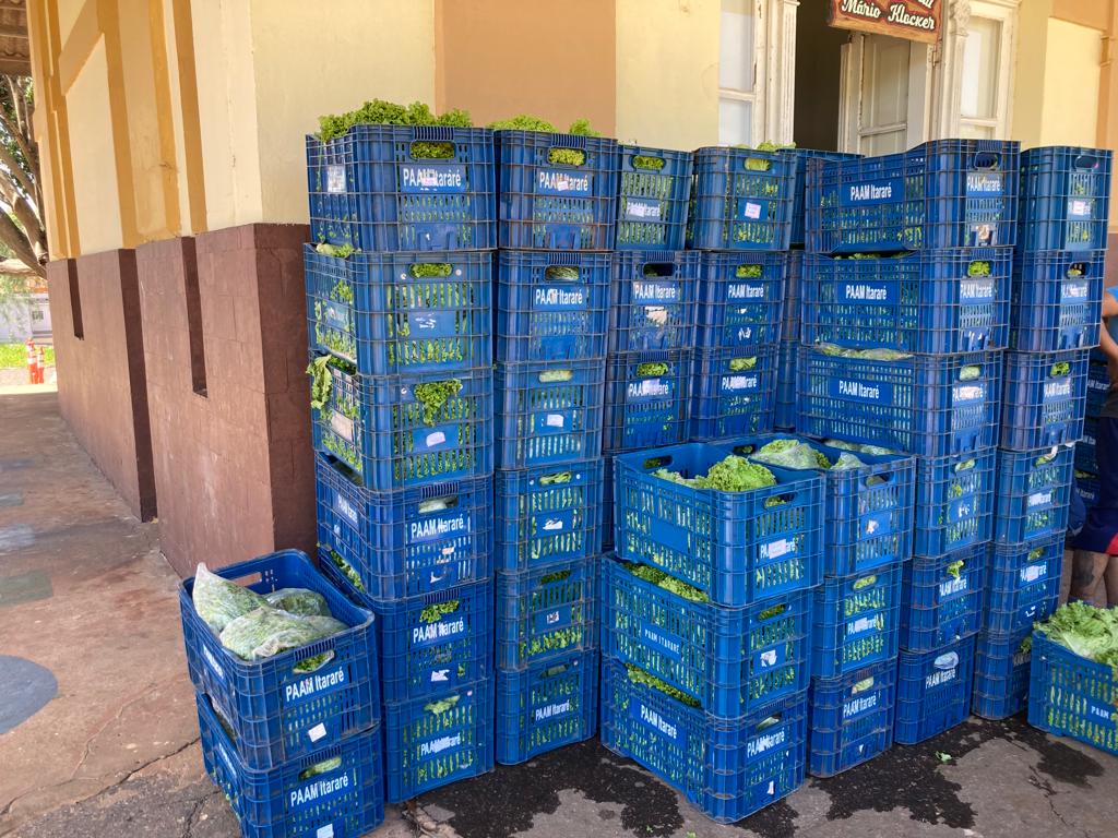 Em quatro meses, PAA Municipal de Itararé (SP) entrega 20 toneladas de alimentos à entidades cadastradas