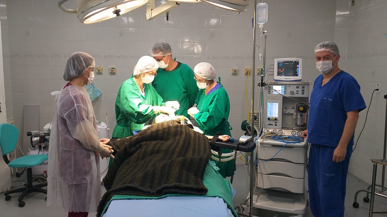 Inédito: Com anestesia geral, Prefeitura de Itararé (SP) realiza procedimentos odontológicos em pacientes com necessidades especiais
