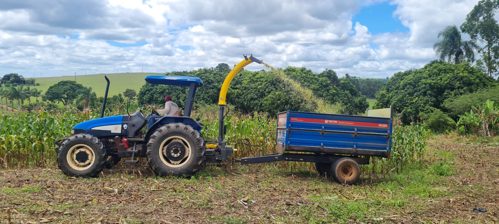 Prefeitura de Itararé (SP) inicia silagem de milho para pequenos produtores