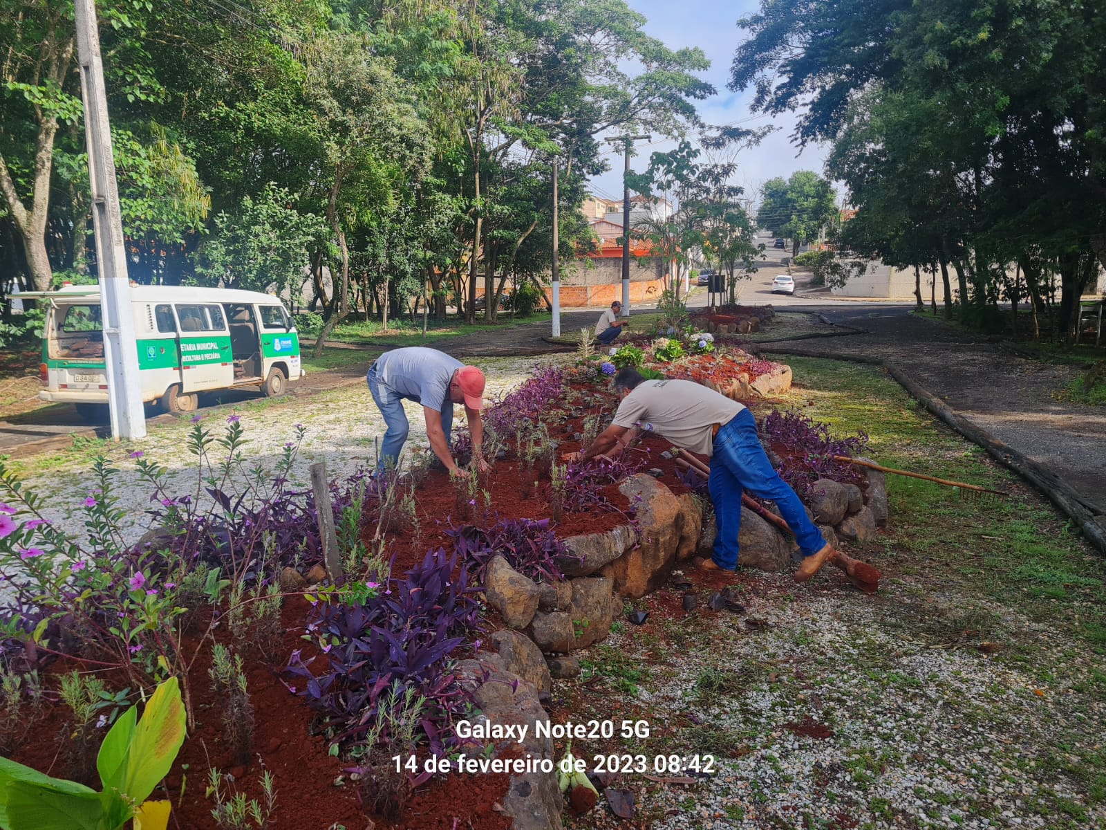 Agricultura de Itararé (SP) realiza ação de revitalização com plantio de flores e grama