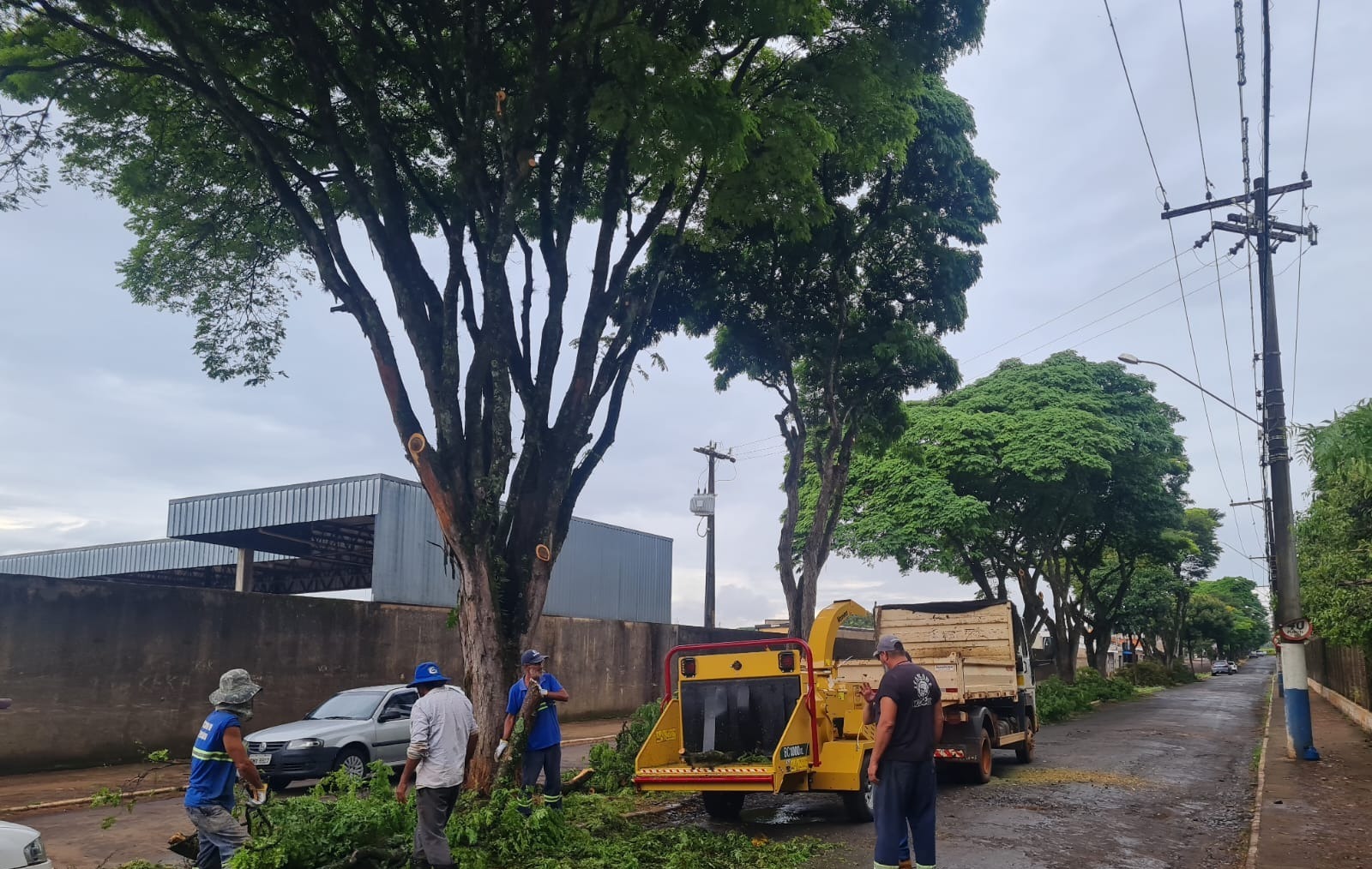 Prefeitura de Itararé (SP) realiza poda de árvores na área urbana