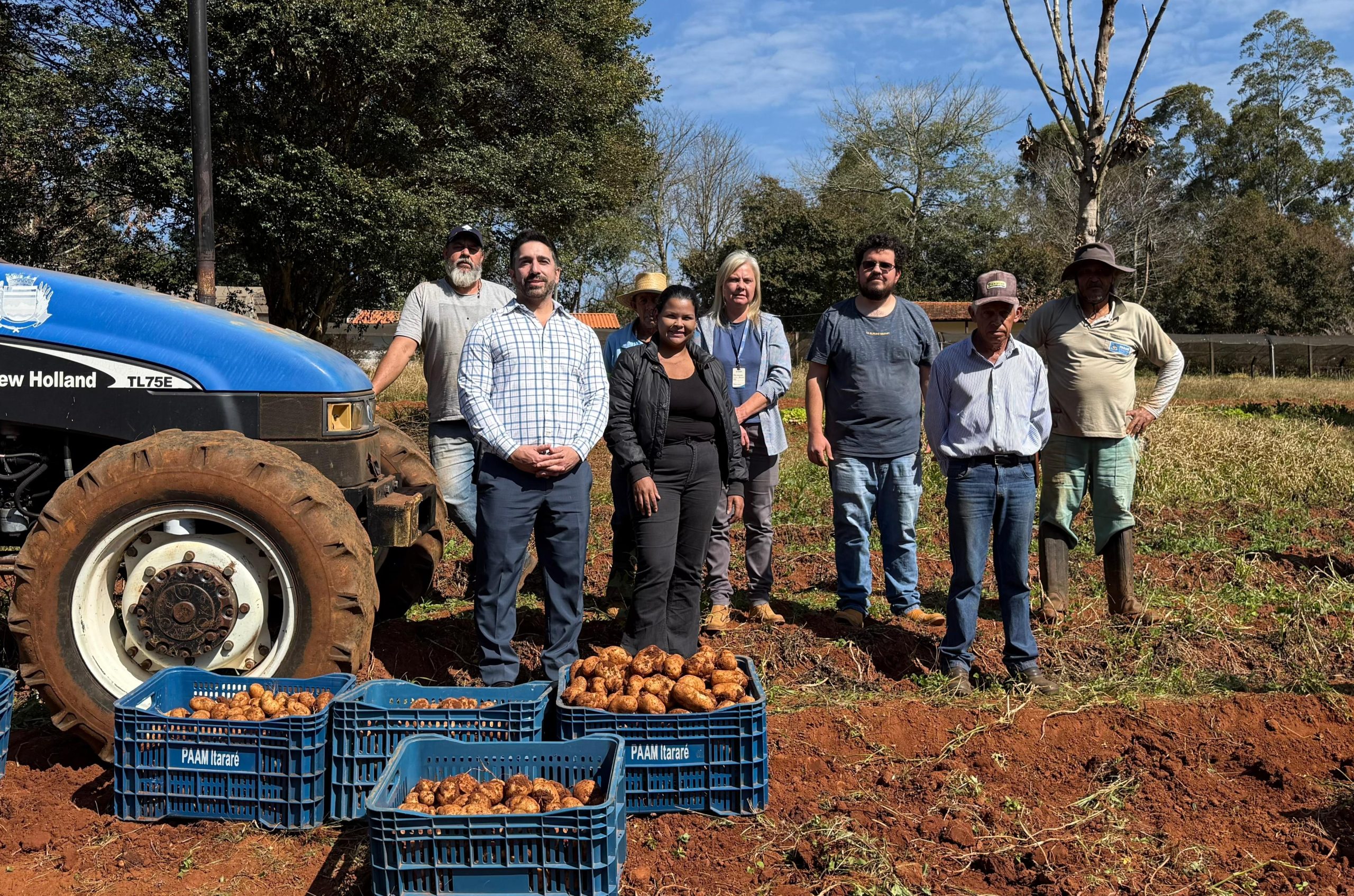 Colheita de batatas-sementes na Horta Municipal de Itararé (SP) abre caminho para a agricultura familiar no município