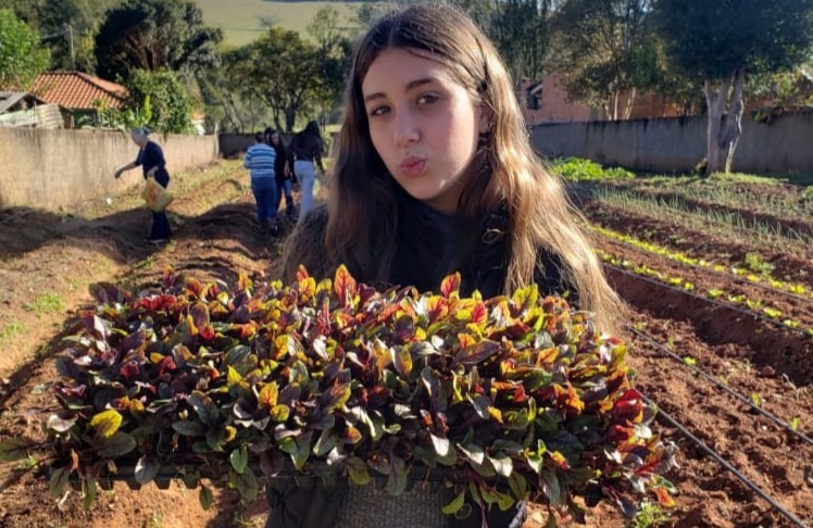 Escola de Campo de Itararé (SP) inicia projeto de horta comunitária para fortalecer aprendizado e conexão com a natureza