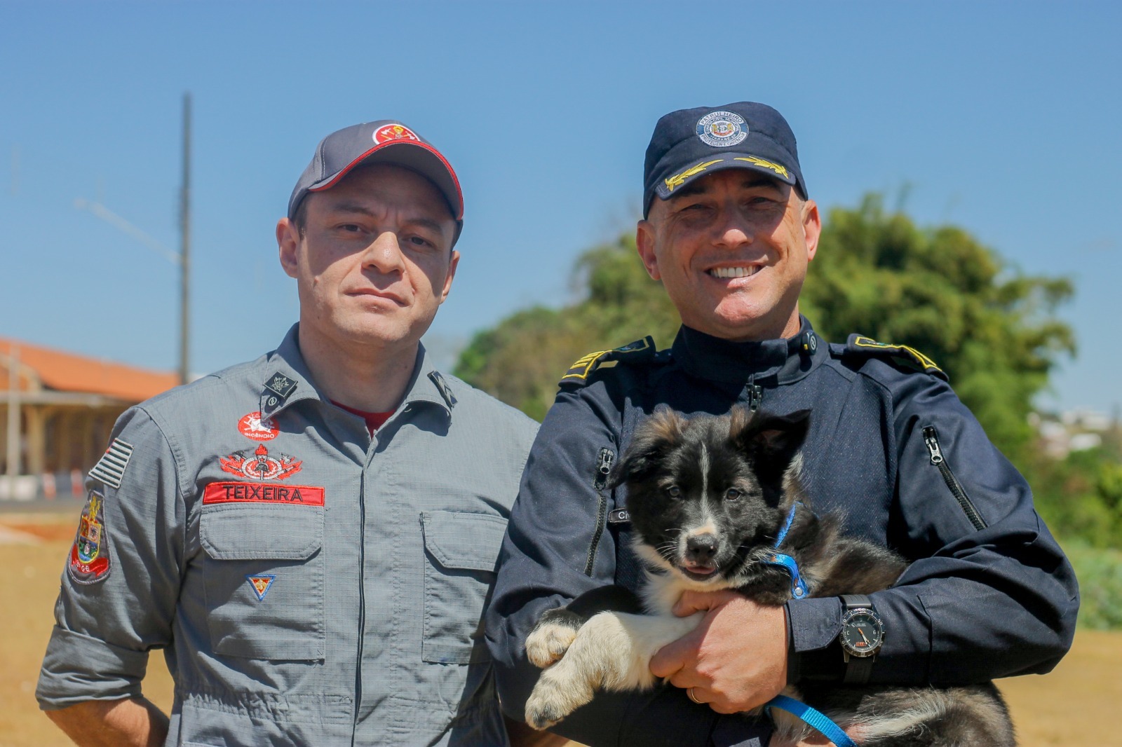 GCM de Itararé (SP) recebe novo integrante no Grupamento de Operações com Cães (GOC)