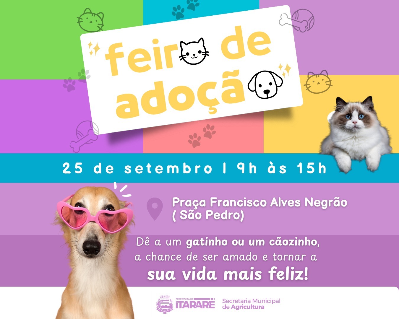 Prefeitura de Itararé (SP) realiza feira de adoção de animais nesta quinta-feira (25)
