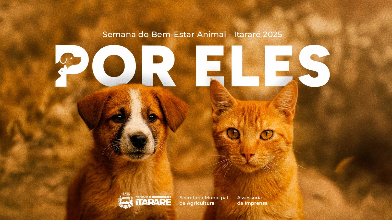 Prefeitura de Itararé (SP) lança documentário e destaca avanços históricos na causa animal