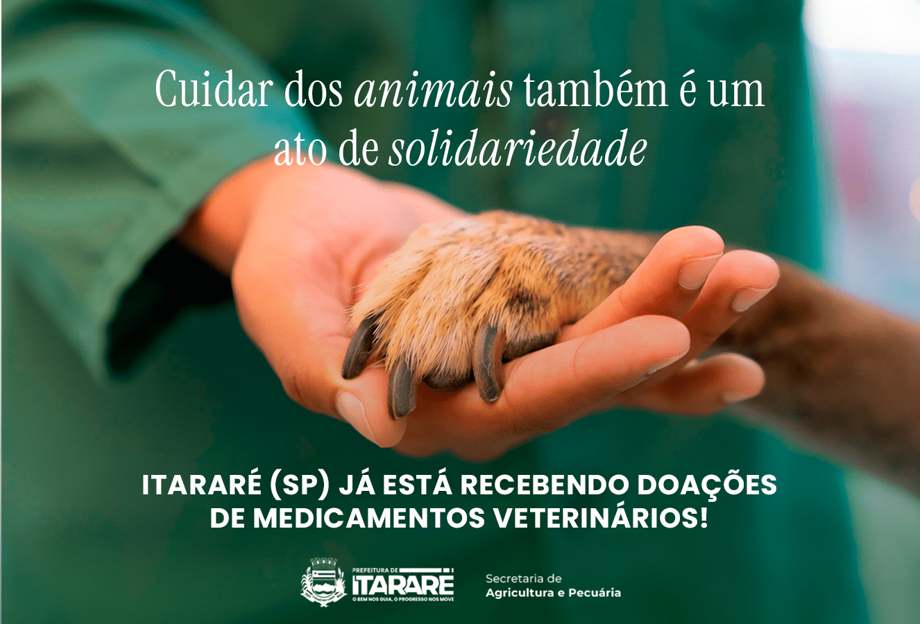 Secretaria de Agricultura de Itararé (SP) inicia recebimento de doações de medicamentos veterinários