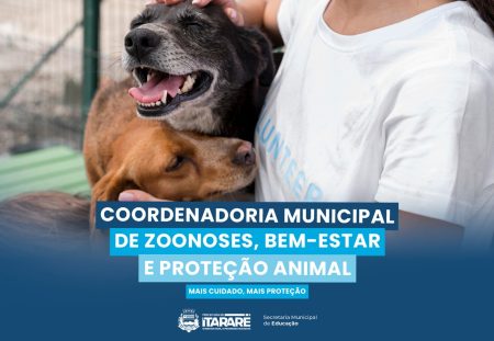 Prefeitura de Itararé cria Coordenadoria Municipal de Zoonoses, Bem-Estar e Proteção Animal
