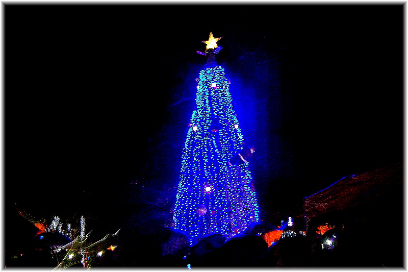 natal