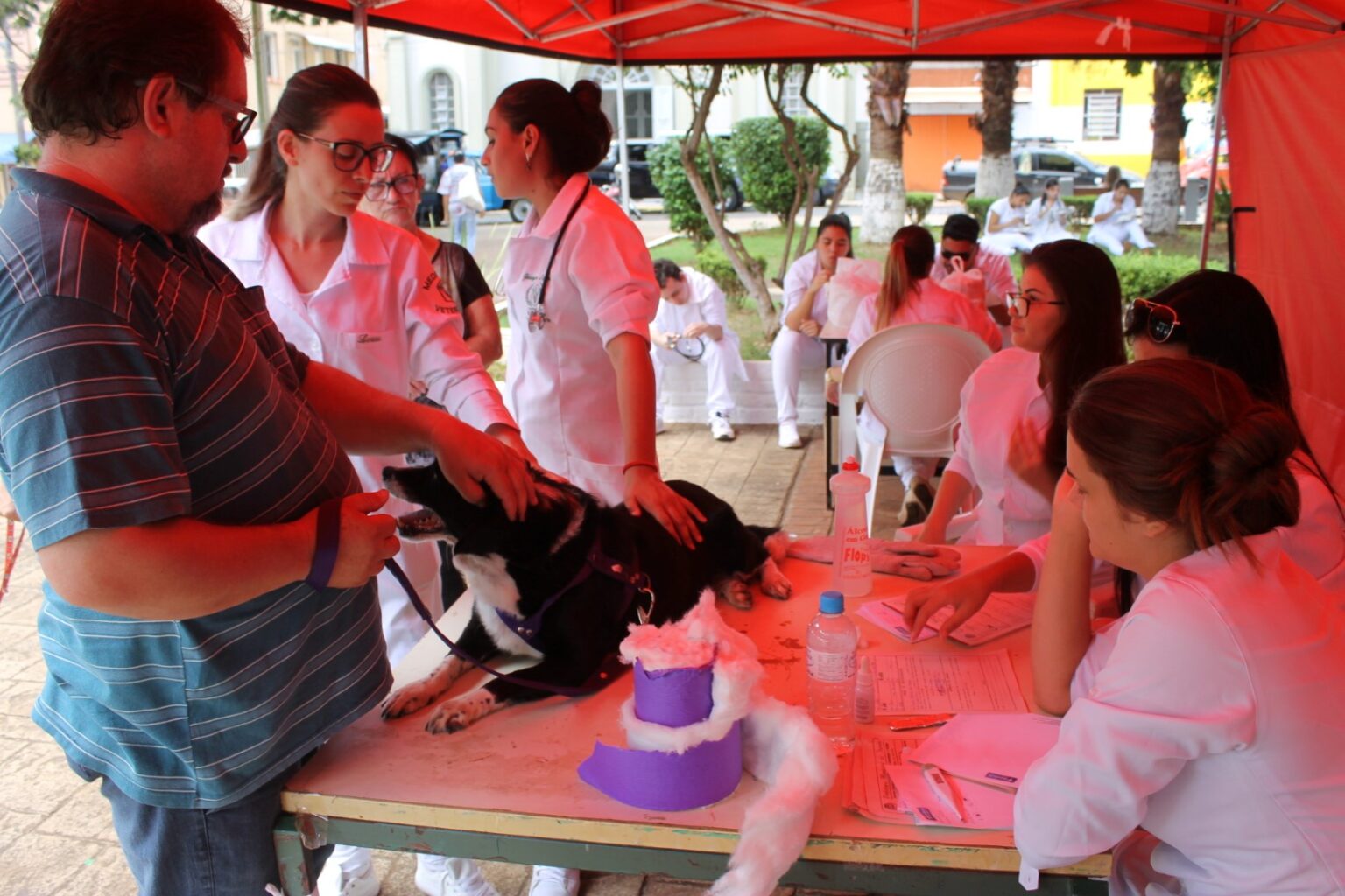 Ação inédita na região promove atendimento gratuito a animais em Itararé IMG_7691