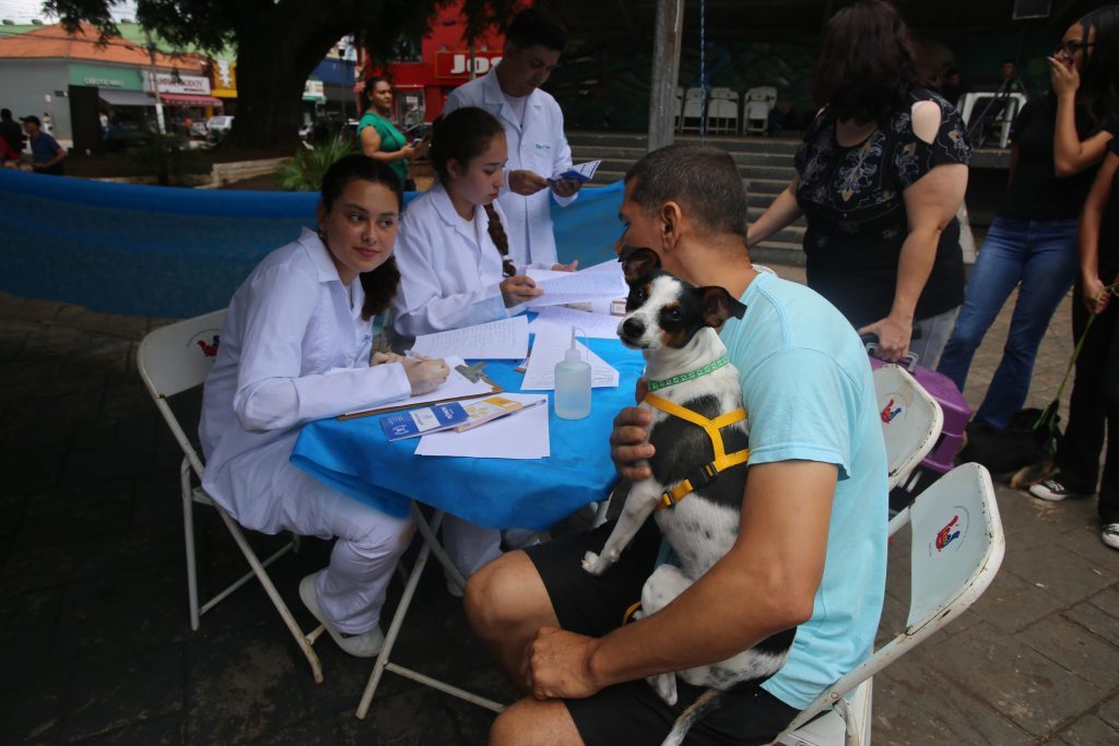 Agricultura de Itararé (SP) realiza vacinação gratuita em mais de 270 animais