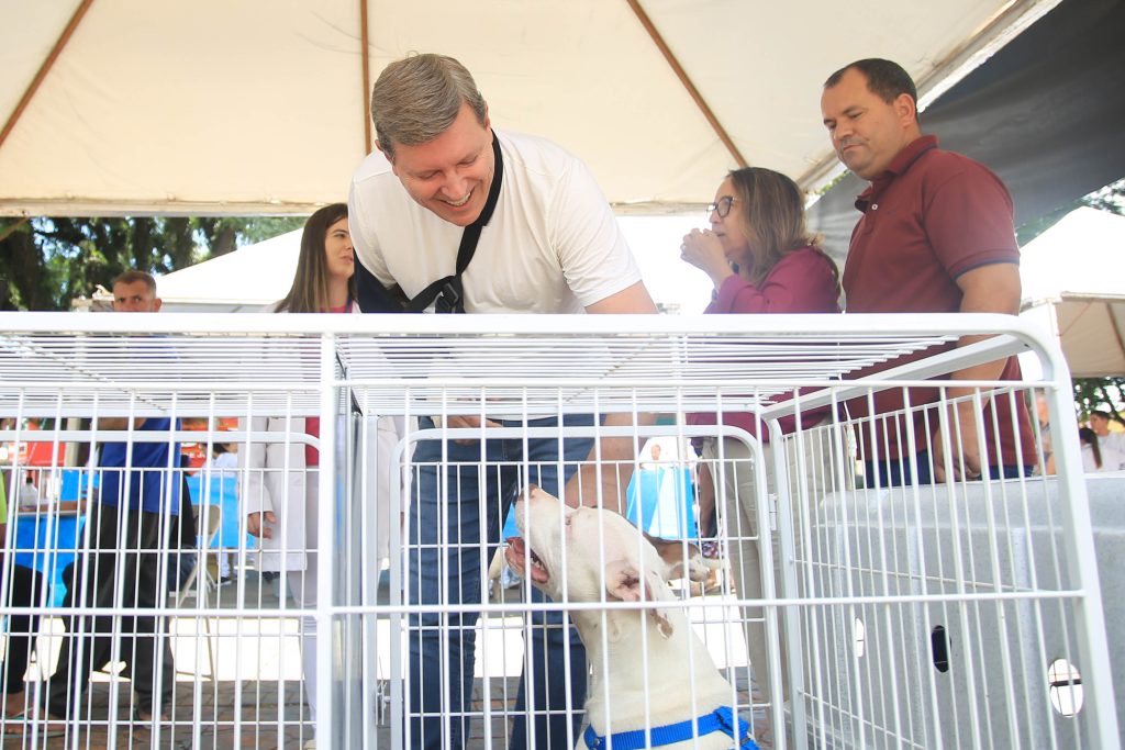 Agricultura de Itararé (SP) realiza vacinação gratuita em mais de 270 animais