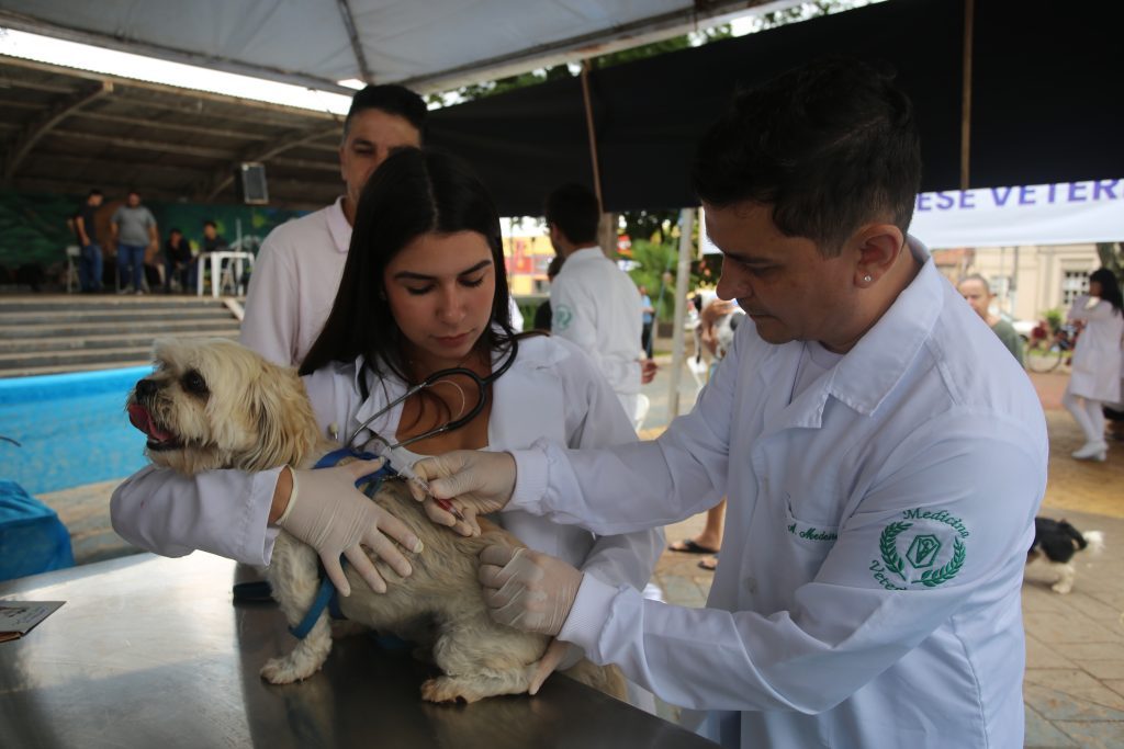 Agricultura de Itararé (SP) realiza vacinação gratuita em mais de 270 animais