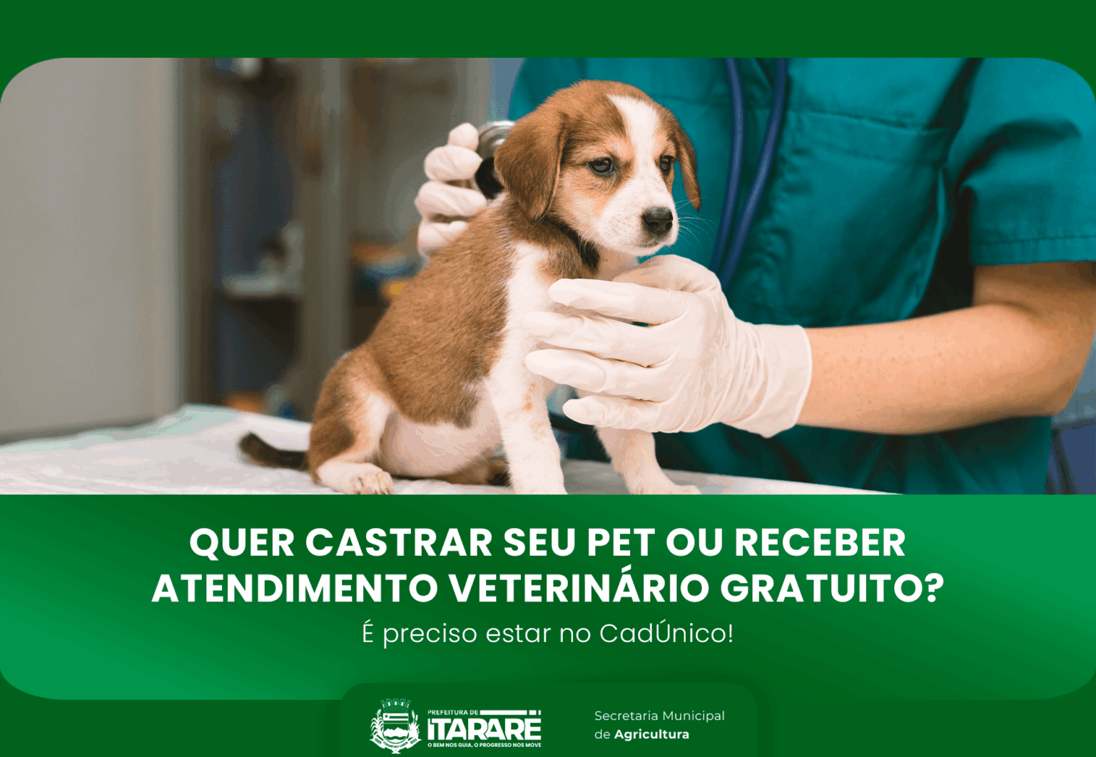Cadastro no Cadúnico é obrigatório para castração e atendimento veterinário em Itararé (SP)