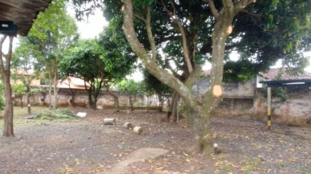 Casa da Criança de Itararé (SP) passa a funcionar em novo endereço Casa da Criança de Itararé (SP) passa a funcionar em novo endereço