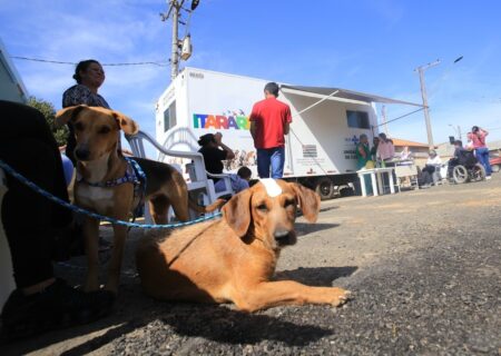 Castramóvel de Itararé (SP) contabiliza mais de 940 atendimentos em 2023 Castramóvel de Itararé (SP) contabiliza mais de 940 atendimentos em 2023