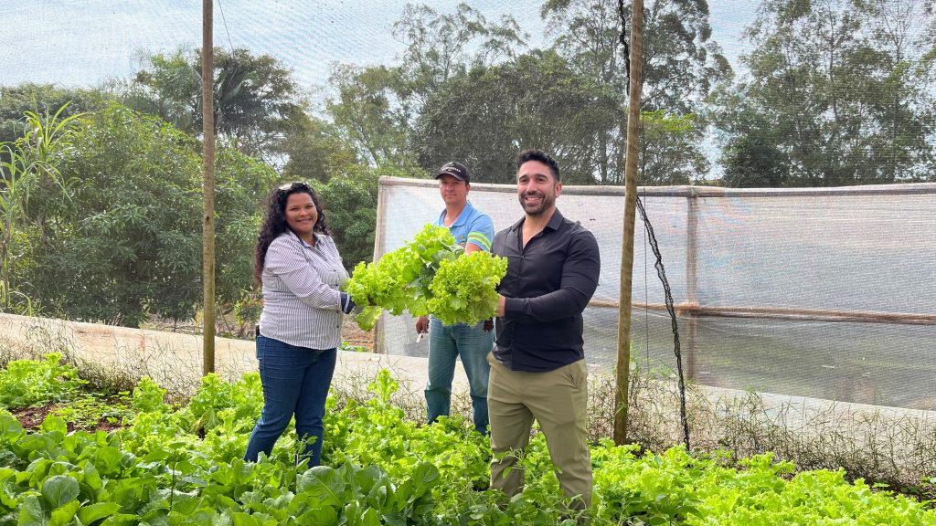 Com produção ativa, Horta Municipal de Itararé (SP) contribui com cestas e alimentos para ações sociais