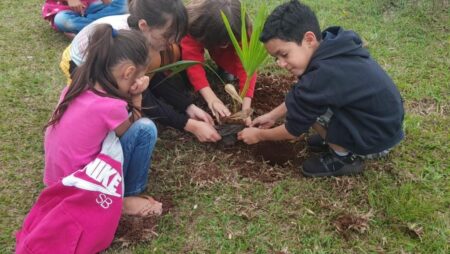 Dia da Árvore: Em Itararé (SP), alunos da Rede Municipal de Ensino plantam mais de 50 mudas em alusão à data
