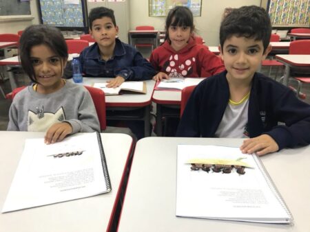 Educação de Itararé (SP) reforça a importância da valorização da cultura indígena