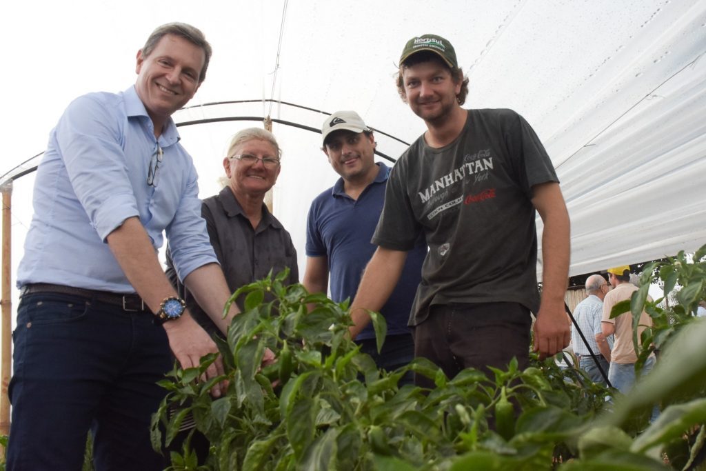 Em apenas 10 meses de gestão, projetos agrícolas de Heliton do Valle trazem resultado para Itararé (SP) Em apenas 10 meses de gestão, projetos agrícolas de Heliton do Valle trazem resultado para Itararé (SP)