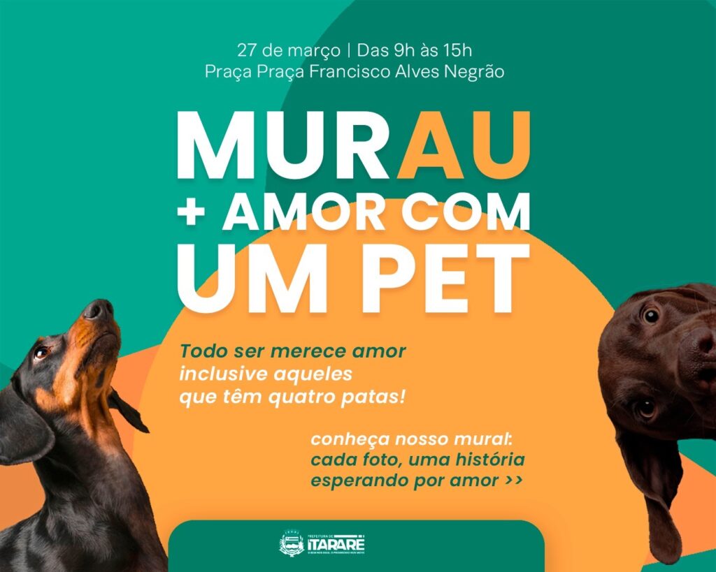 Feira de adoção de cães adultos acontece nesta sexta-feira (27) em Itararé