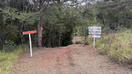 Férias de julho: Prefeitura prepara trilhas e pontos turísticos para receber visitantes e famílias em contato com a natureza