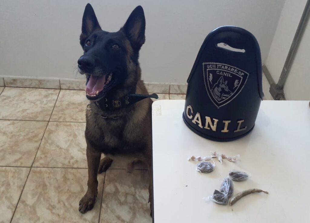 GCM de Itararé (SP) participa de operação conjunta da Polícia Militar e Polícia Civil em Riversul (SP)