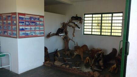 GEPAR realiza atividade no Parque Municipal da Barreira de Itararé (SP)