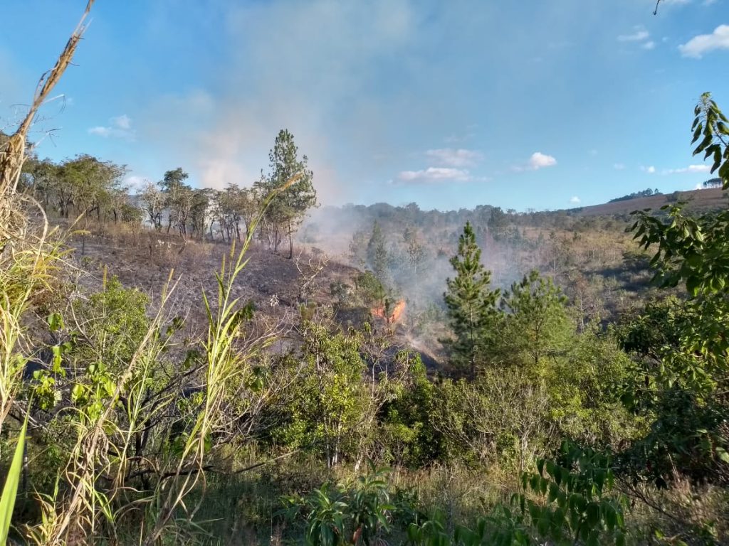 Incêndios florestais: Prefeitura de Itararé (SP) solicita mais cuidado da população para evitar perdas ambientais e paisagísticas
