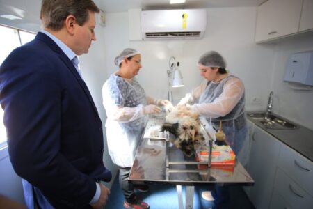 Inédito: Prefeitura de Itararé (SP) inicia microchipagem de animais no município Inédito: Prefeitura de Itararé (SP) inicia microchipagem de animais no município