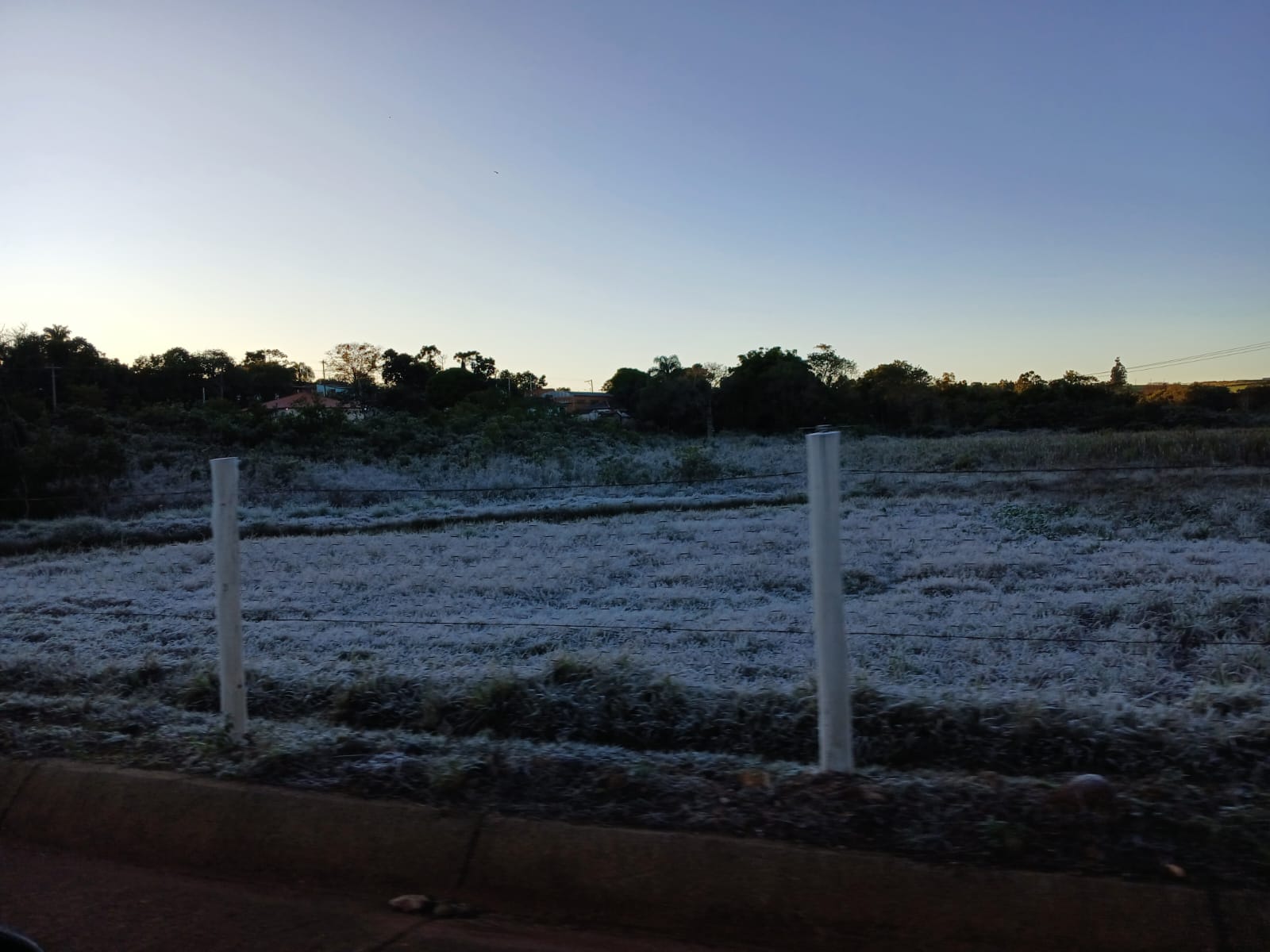 Itararé (SP) registra geada e temperatura de -2,5ºC; Defesa Civil orienta população sobre cuidados