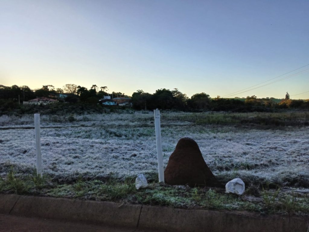 Itararé (SP) registra geada e temperatura de -2,5ºC; Defesa Civil orienta população sobre cuidados