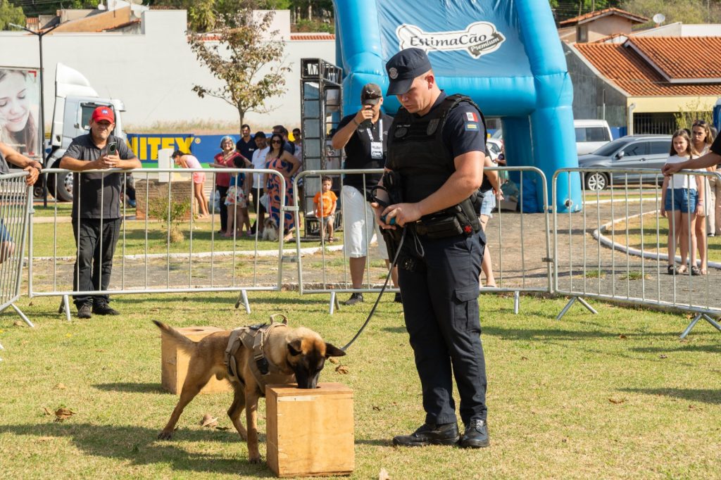 Itararé (SP) vive fim de semana em prol da causa animal com o “Pet na Praça” e a “Cãominhada Estimacão”