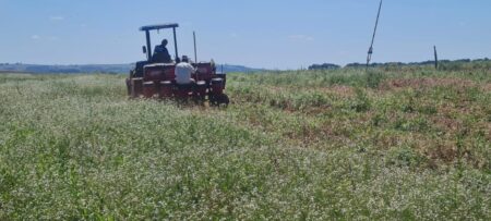 Patrulha Agrícola: Prefeitura de Itararé (SP) inicia plantio nas Fazendas Brasil e Silvério
