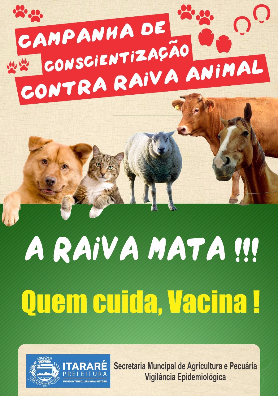 Prefeitura de Itararé alerta sobre risco de epidemia de raiva