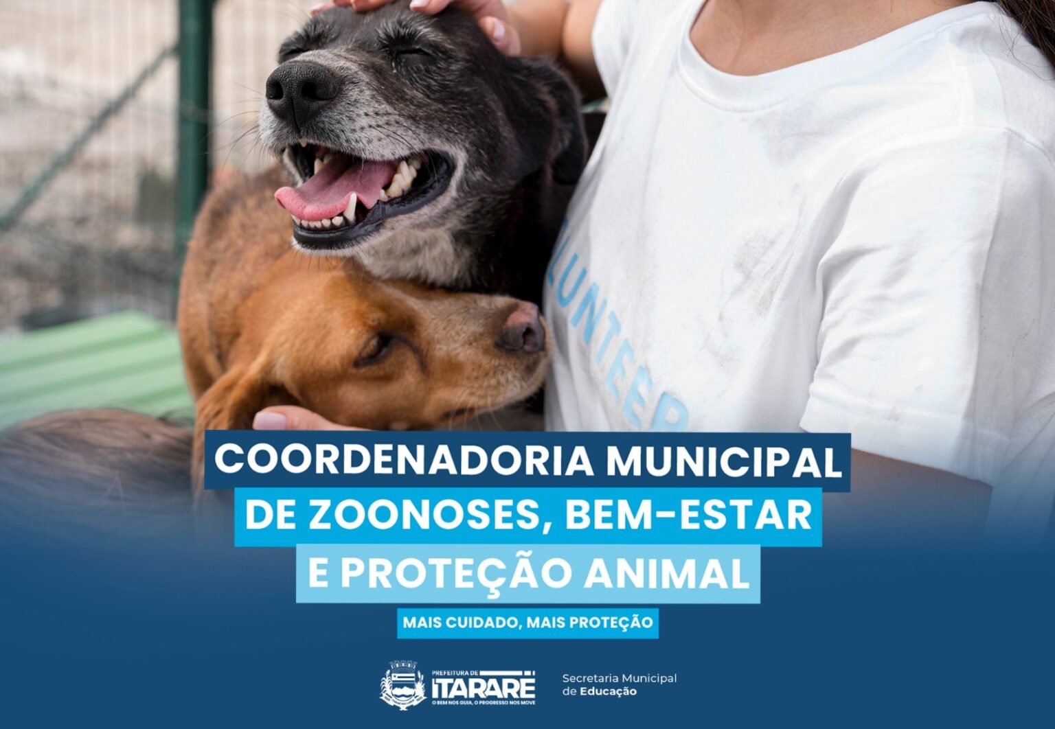 Prefeitura de Itararé cria Coordenadoria Municipal de Zoonoses, Bem-Estar e Proteção Animal